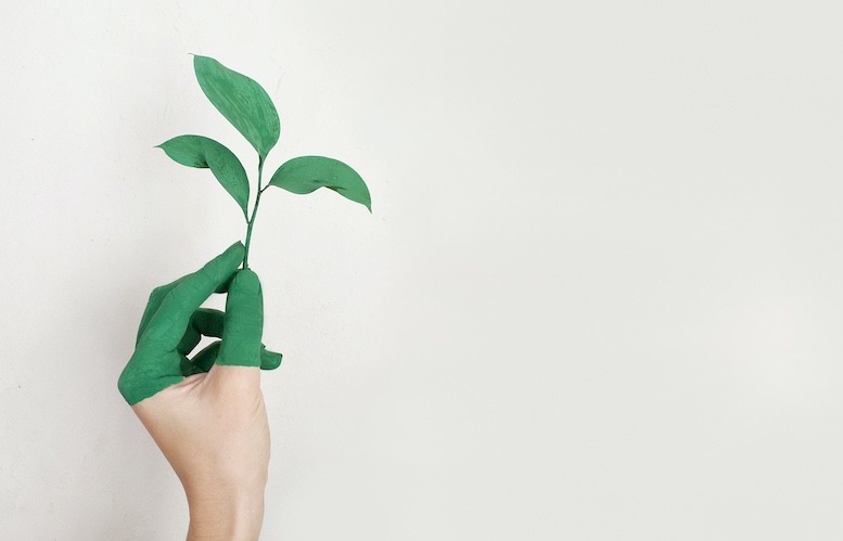 Überzeugung oder bloßes Trendthema: Wie nachhaltig sind Nachhaltigkeitsbemühungen in Unternehmen?Foto: Alena Koval